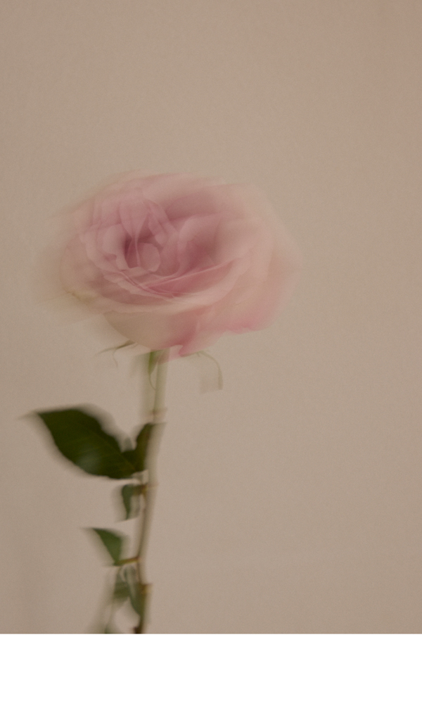 Sub-banner2.jpg